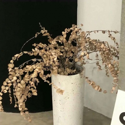 兽设萌系风格设计兽圈群